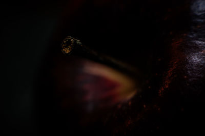 Close-up of rusty metal
