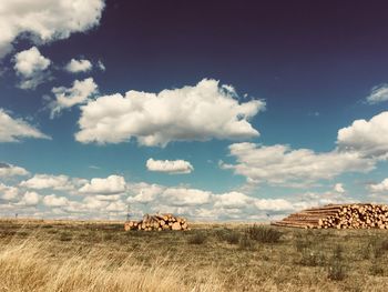 Panoramic view of field against sky