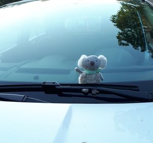 View of car on glass window