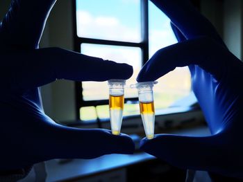 Cropped hands of person holding chemicals in containers