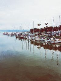 Sailboats moored in harbor against sky