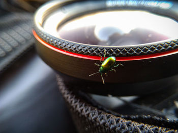 High angle view of beetle on camera lens