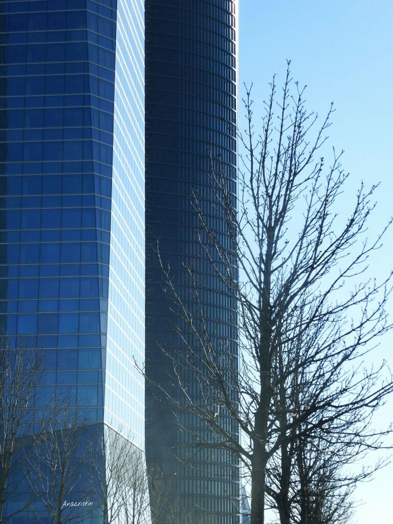 architecture, building exterior, built structure, modern, skyscraper, low angle view, office building, tall - high, city, tower, glass - material, reflection, bare tree, clear sky, tree, building, day, sky, tall, outdoors