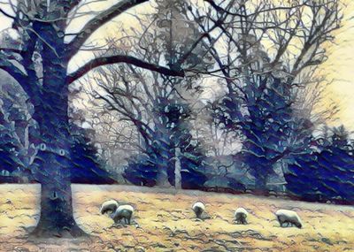 Flock of sheep on tree against sky