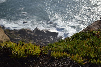 Scenic view of sea shore