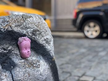 Close-up of pink petals on street