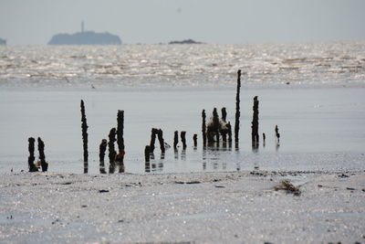 View of people on beach