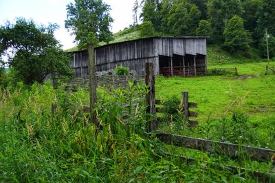 Abandoned built structure on field against trees in forest