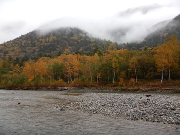 Scenic view of river amidst trees against sky