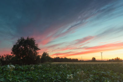 Scenic view of field against sky during sunset