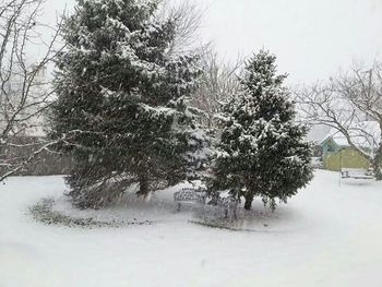 Scenic view of snow covered field