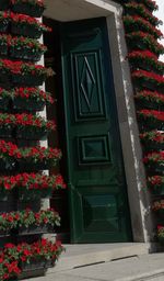 Illuminated christmas tree by building