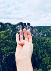 Cropped image of hand in forest against sky