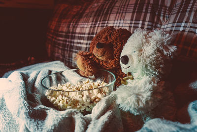 Close-up of a stuffed toy