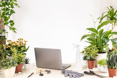 Scene with home plants, gardening tools, laptop computer on table, copy space