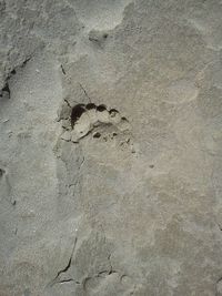 Close-up of footprint on sand