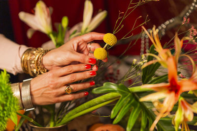 Close-up of hand holding flowering plant