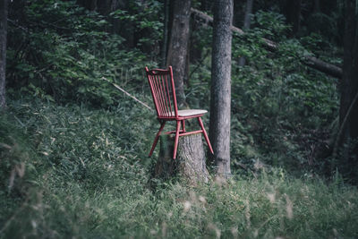 Empty chair in forest