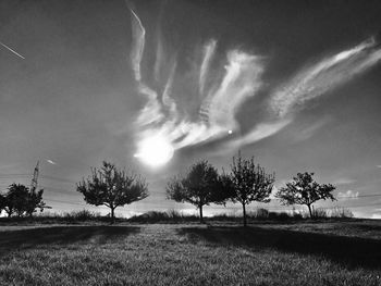 Trees on landscape against sky