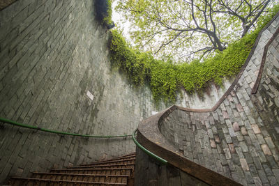 High angle view of footpath amidst trees