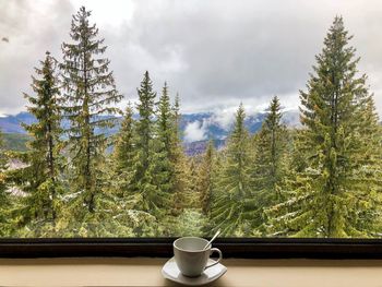 White cup with spoon placed on plate near a window through which you can see a forest