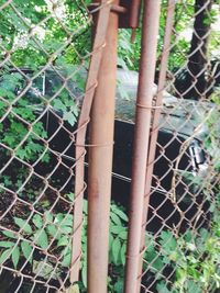 Close-up of chainlink fence