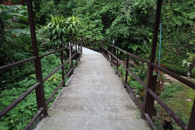 Footbridge amidst trees in forest