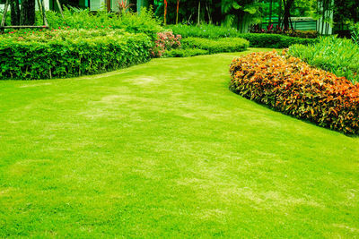 View of formal garden in park