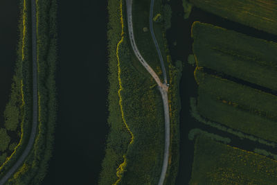 High angle view of agricultural field