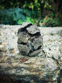 Close-up of rocks