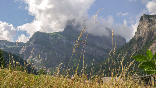 Panoramic view of land and mountains against sky