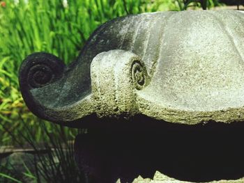 Close-up of statue