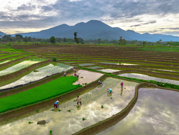 High angle view of agricultural field against sky