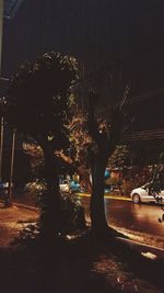 Road at night