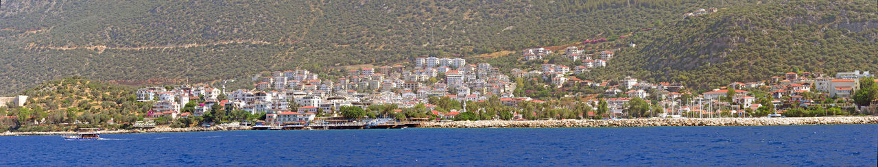 Panoramic shot of trees and buildings in city