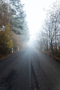 Surface level of road amidst trees against sky