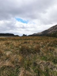 Scenic view of field against sky