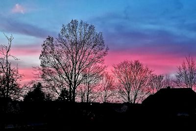 Low angle view of silhouette trees against sky during sunset