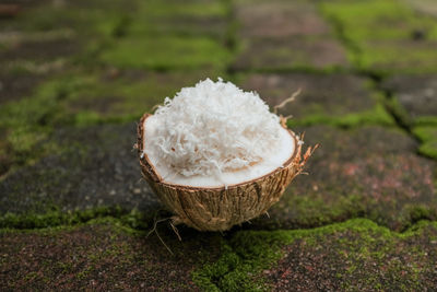 Close-up of coconut on footpath