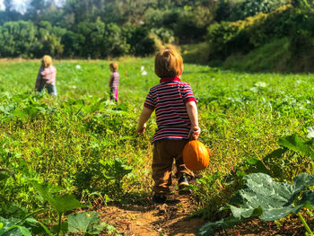 Rear view of boy with pumpkin walking on field