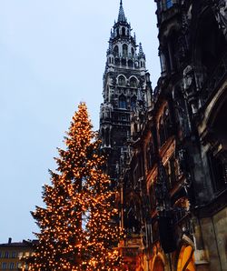 Low angle view of christmas tree against sky at night