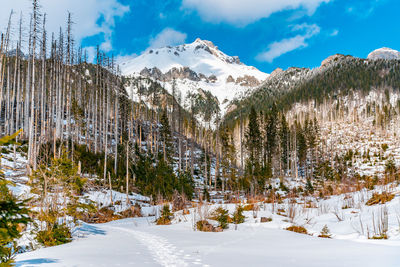 Scenic view of snow covered mountains against sky