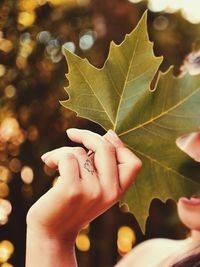 Close-up of hand holding autumn leaf