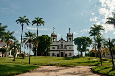 Palm trees and buildings against sky