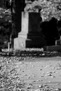 Close-up of cross on cemetery