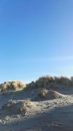 Scenic view of beach against clear blue sky