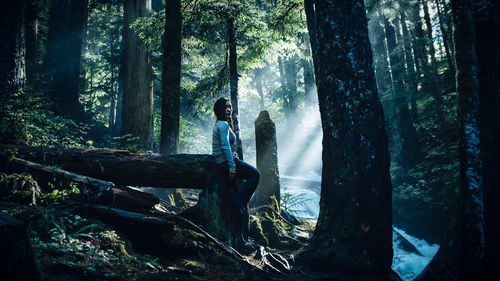 Man on tree trunk in forest