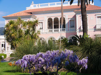 Flowers in front of historic building