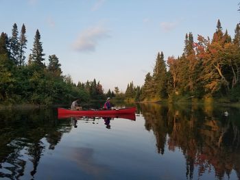 Scenic view of lake against trees in forest