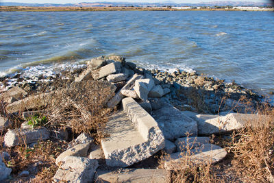 Scenic view of sea shore